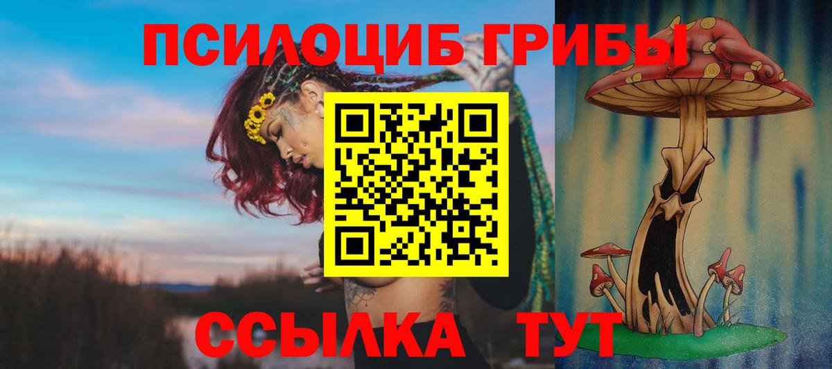 Галлюциногенные грибы MAGIC MUSHROOMS  Вход с VPN  Галлюциногенные грибы MAGIC MUSHROOMS  где найти наркотики  Дивногорск 